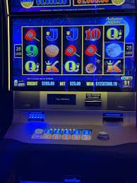 apk 81 Bingo